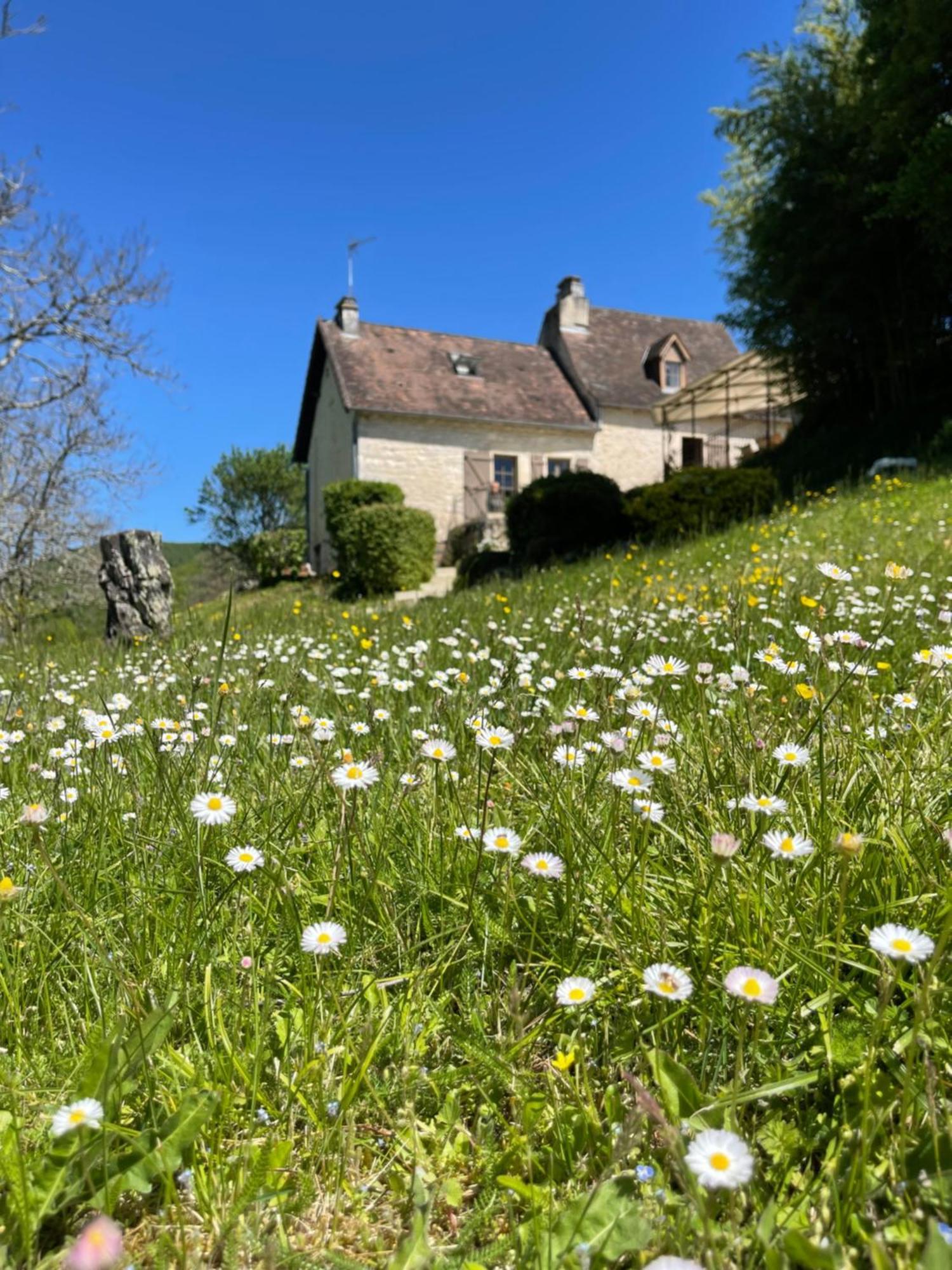 فيلا Domaine Du Bonheur En Pierre Avec Piscine, Proche Sarlat Carlux المظهر الخارجي الصورة